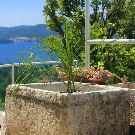 House With A Swimming Pool Viganj, Peljesac - 10175 فيغاني