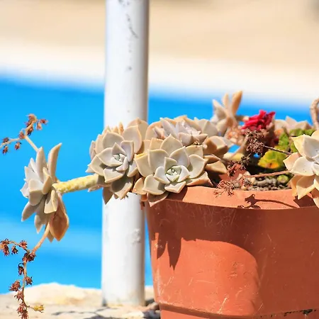 بيت للعطل House With A Swimming Pool Viganj, Peljesac - 10175 فيغاني