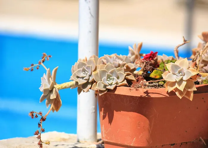 Ferienhaus House With A Swimming Pool Viganj, Peljesac - 10175 Viganj