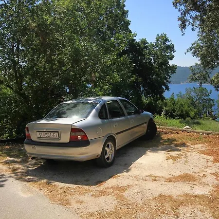 House With A Swimming Pool Viganj, Peljesac - 10175 Viganj