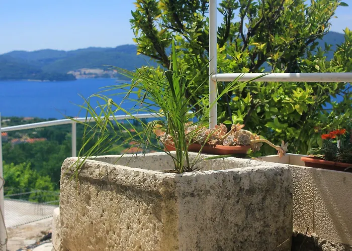 House With A Swimming Pool Viganj, Peljesac - 10175 Viganj